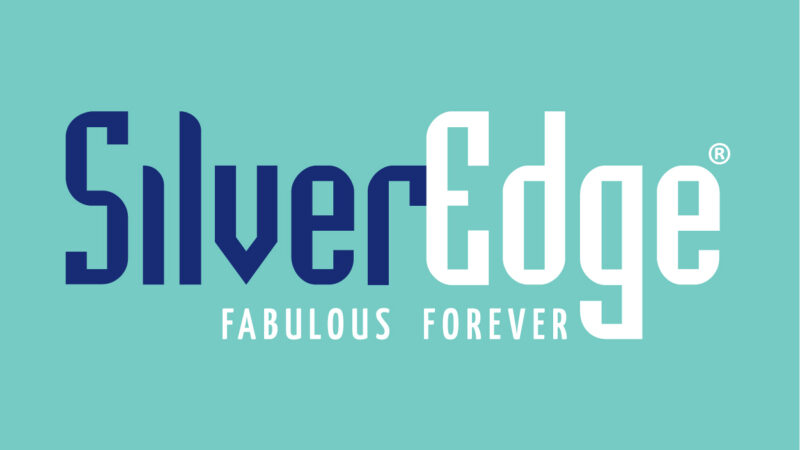SilverEdge, envisions bringing in Rs 25 million through the direct-to-consumer sector