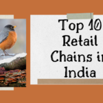 Top 10 Retail Chains in India