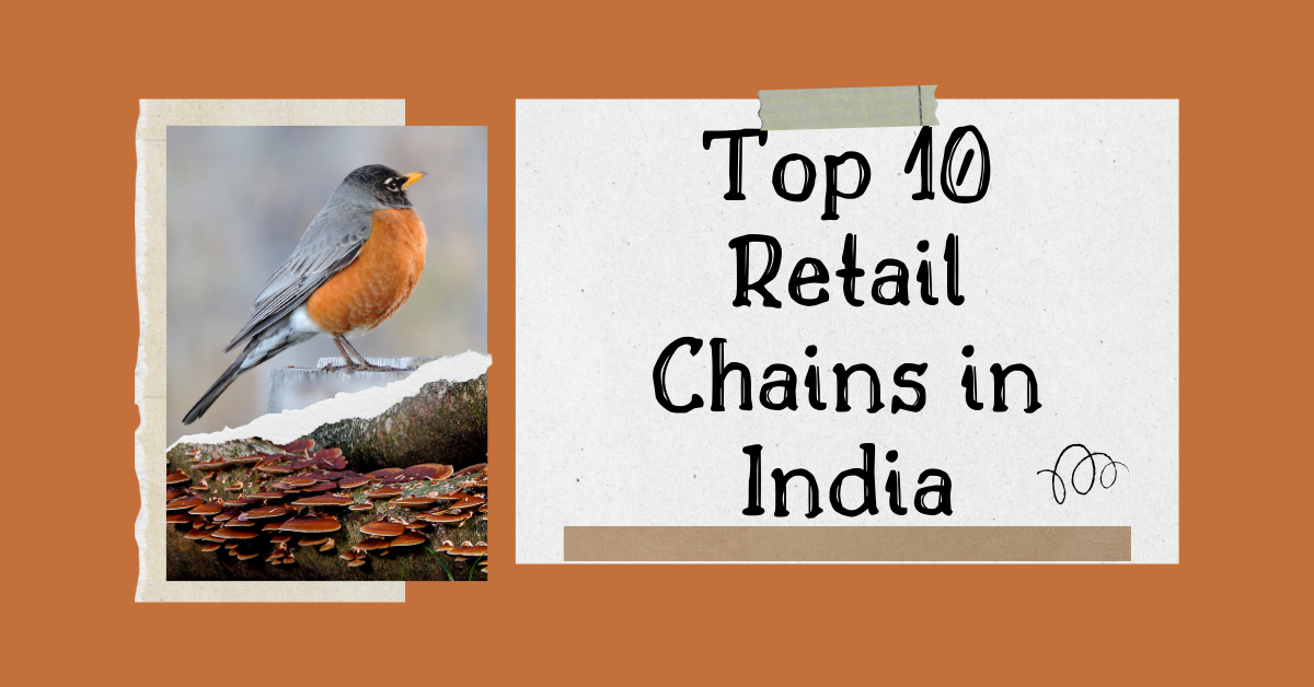 top-10-retail-chains-in-india